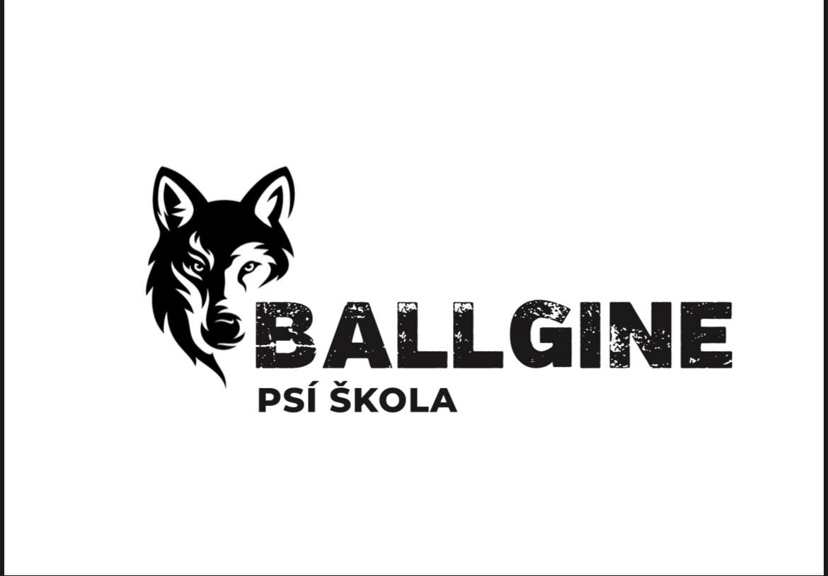 Ballgine - výcvik psů